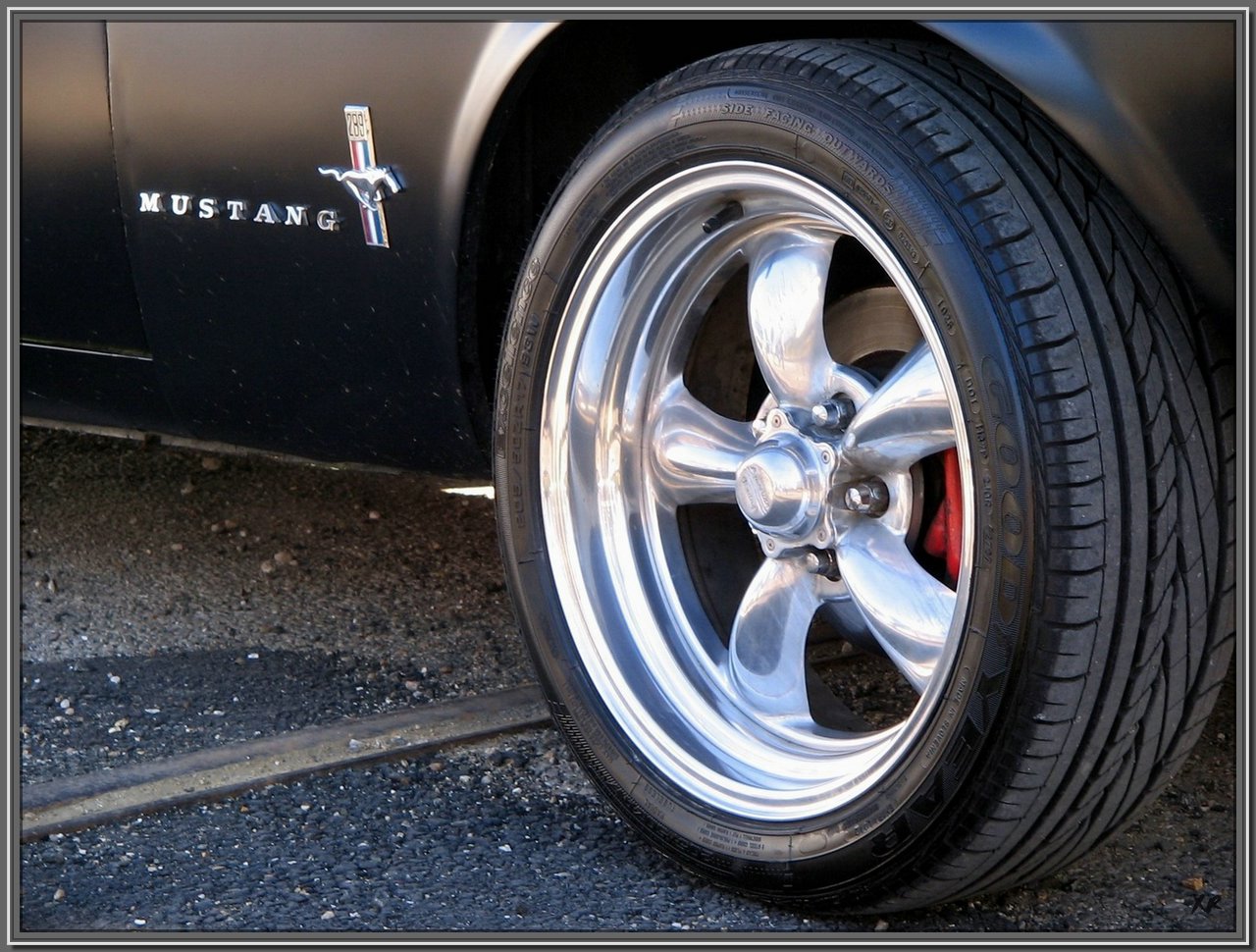 Mustang-8.jpg